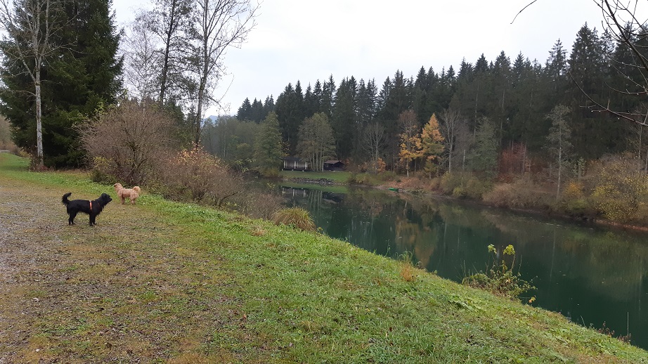Obermaiselstein 2019 (12)